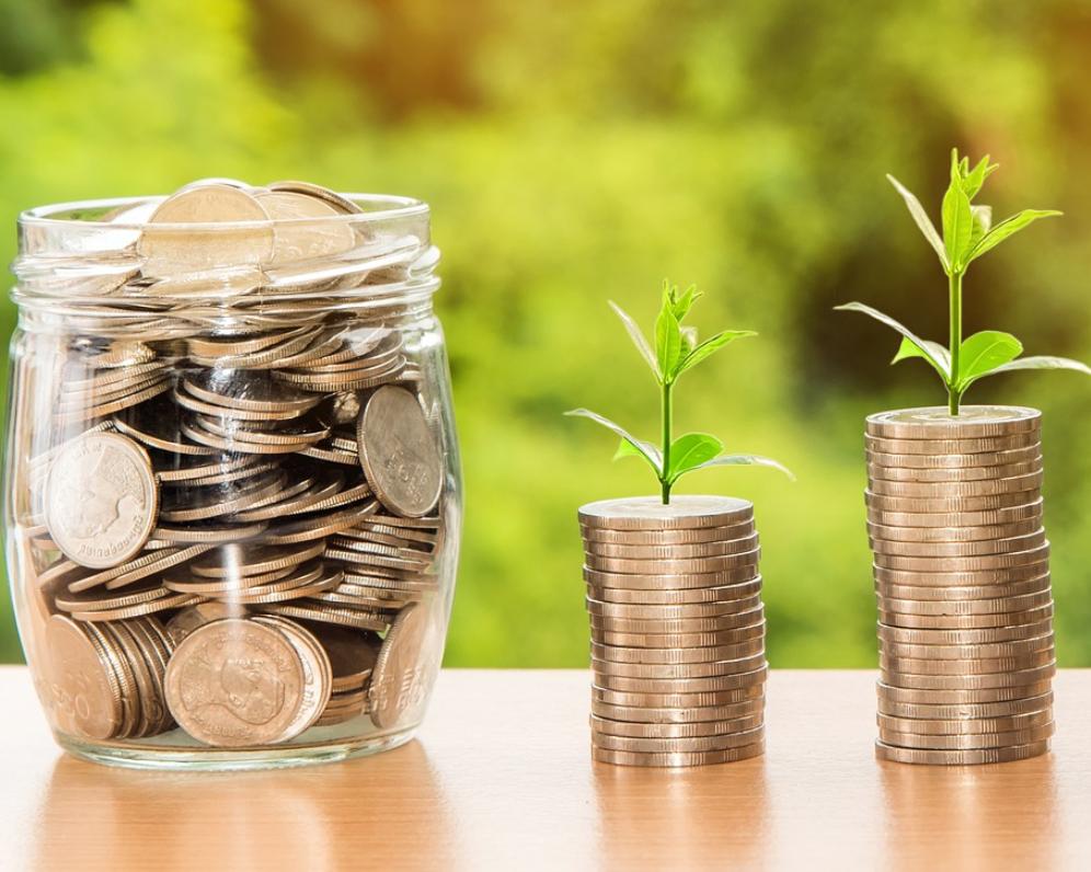 Využití služeb investičního poradce a rizika investování na vlastní pěst